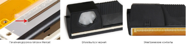 Xante Excelagraphix 4800. Компоненты печатной головки