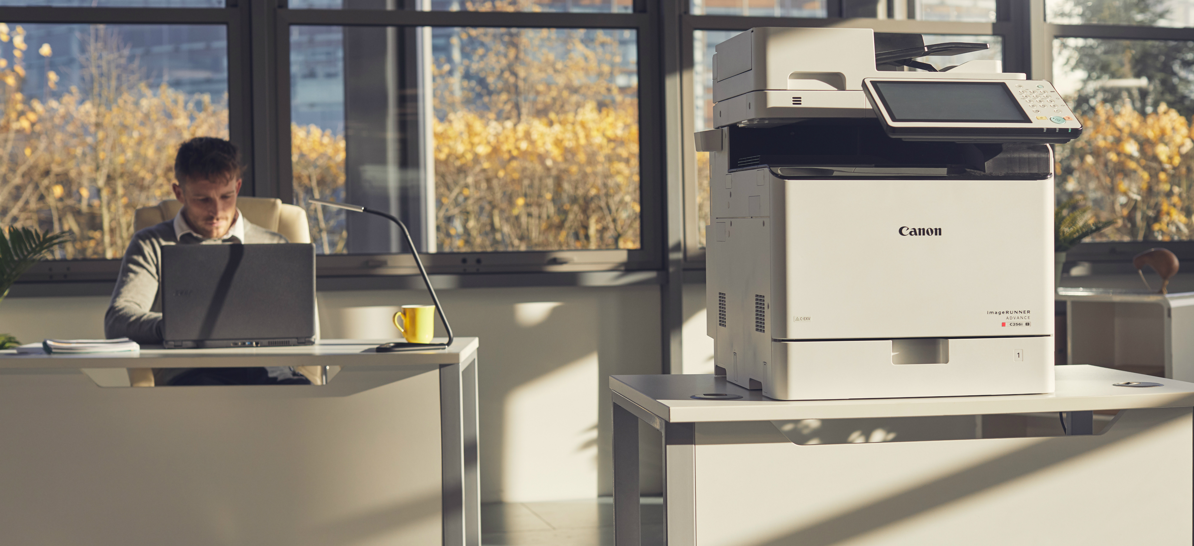 Canon imageRUNNER ADVANCE III. Функции безопасности