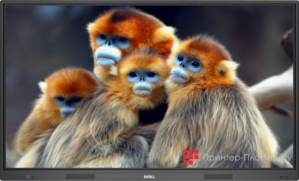 Exell EXID-752B-RU и Exell EXID-752C-RU — в реестре Минпромторга