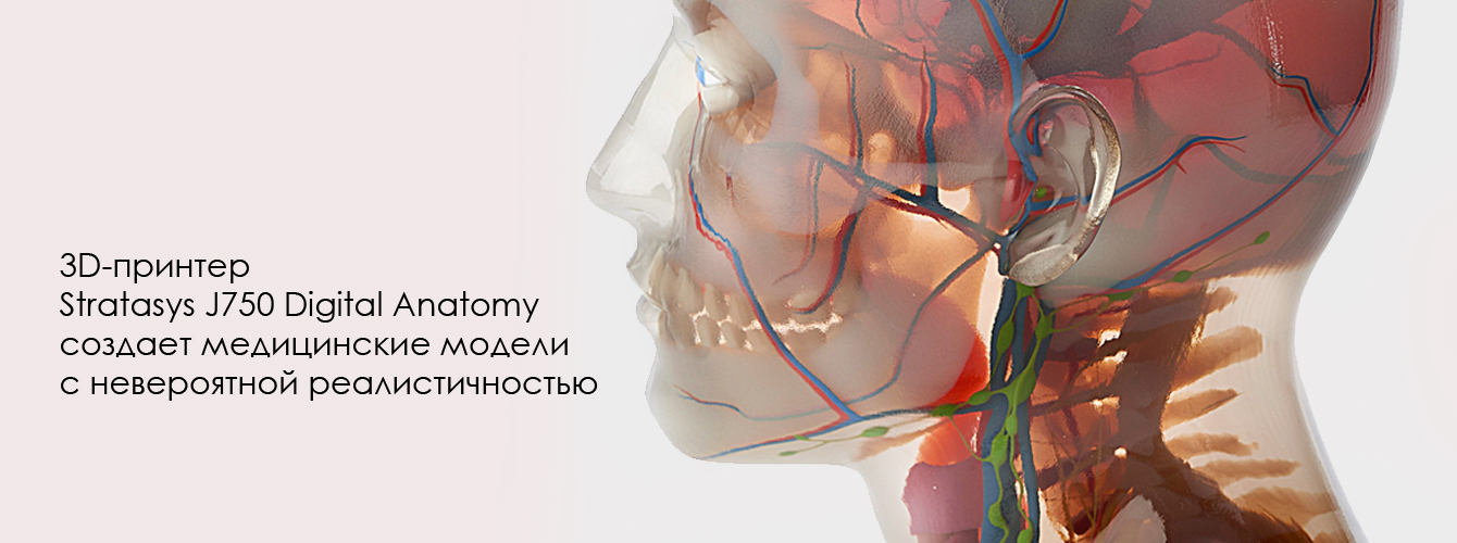 Stratasys J750 Digital Anatomy. Реалистичные медицинские модели