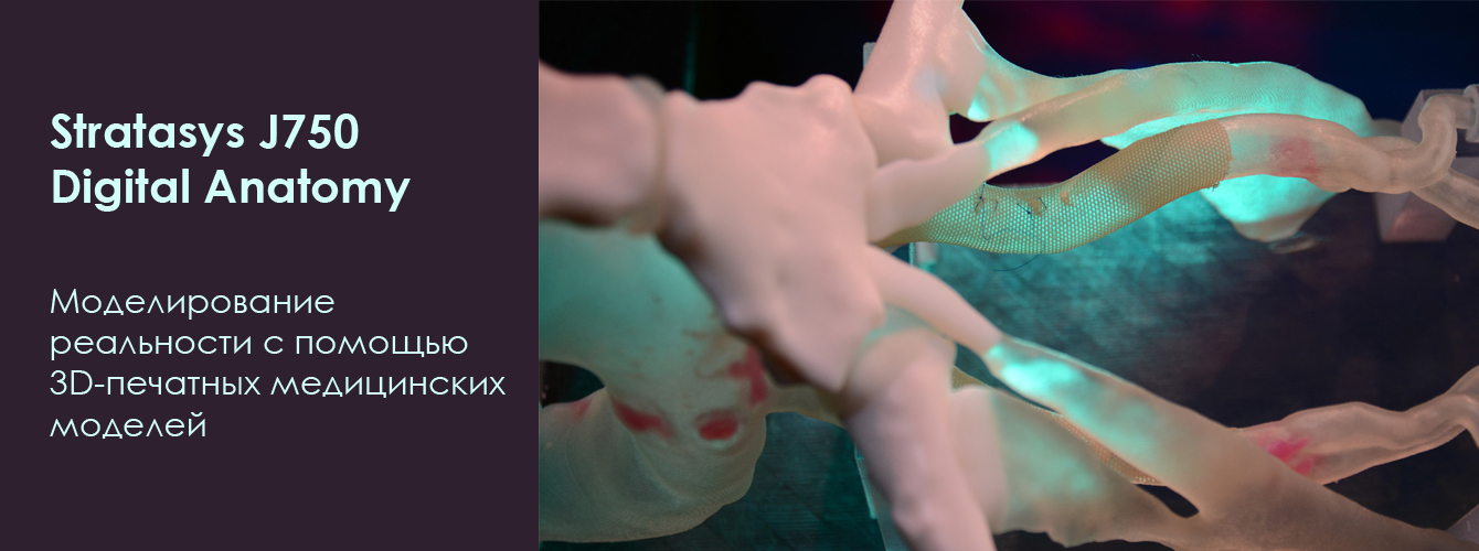 Stratasys J750 Digital Anatomy. Моделирование реальности с помощью 3D-печатных медицинских моделей