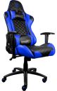 Профессиональное игровое кресло ThunderX3 TGC12-BB (сине-черный)