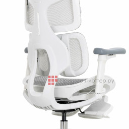 Эргономичное кресло Sihoo Doro S100 (серый)