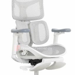 Эргономичное кресло Sihoo Doro S100 (серый)