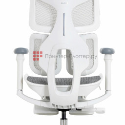 Эргономичное кресло Sihoo Doro S100 (серый)