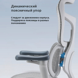 Эргономичное кресло Sihoo Doro S100 (серый)