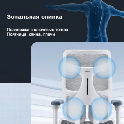 Эргономичное кресло Sihoo Doro S100 (серый)