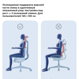 Эргономичное кресло Sihoo Doro S100 (серый)