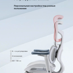 Эргономичное кресло Sihoo Doro S100 (серый)