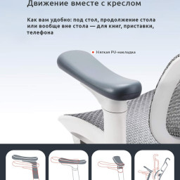 Эргономичное кресло Sihoo Doro S100 (серый)