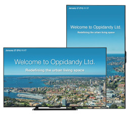 ТВ-панель Sharp PN-Q901E