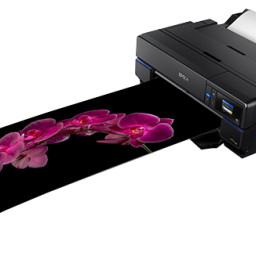 Струйный плоттер Epson SureColor SC-P800