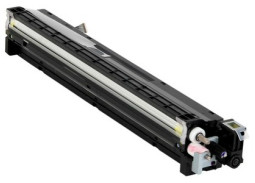 Девелопер Ricoh Developer Unit D1773028 (yellow)