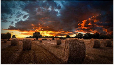 Дисплей Samsung VM55T-U