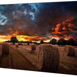 Дисплей Samsung VM55T-U