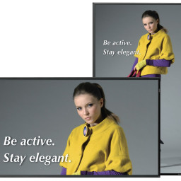 ТВ-панель Sharp PN-R903A