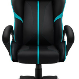 Профессиональное игровое кресло ThunderX3 BC1 (черно-голубой)