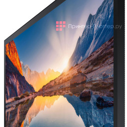Интерактивная панель Samsung QM43B-T