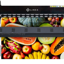 Сольвентный принтер LINEA Sol B300 1601 (1 голова) i3200