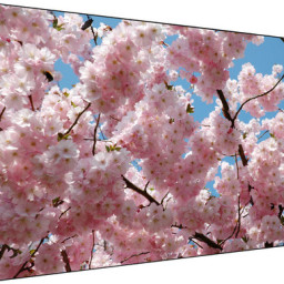 ТВ-панель Sharp PN-V600A