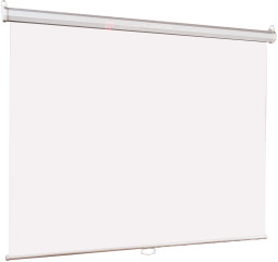 Экран Lumien Eco Picture LEP-100110, 1:1, 119