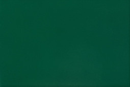 Термопленка WITPAC PREMIUM NOVA-FLEX 1004, зеленая, 500 мм (1 п.м.)