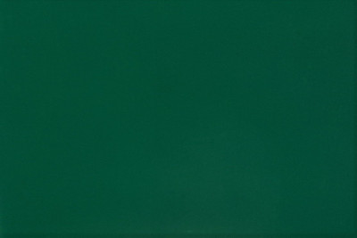 Термопленка WITPAC PREMIUM NOVA-FLEX 1004, зеленая, 500 мм (1 п.м.)