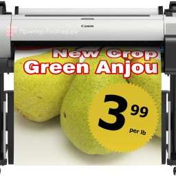 Струйный плоттер Canon imagePROGRAF TA-30
