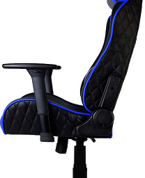 Профессиональное игровое кресло ThunderX3 TGC30-BB (сине-черный)