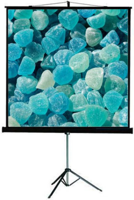 Экран ViewScreen Clamp Pro TCP-4306, 4:3, 120