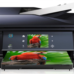 МФУ Epson Expression Premium XP-800