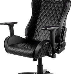 Профессиональное игровое кресло ThunderX3 TGC31-B (черный)