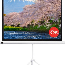 Экран Sakura Cinema Triscreen 1:1, 100