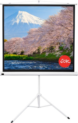 Экран Sakura Cinema Triscreen 1:1, 100
