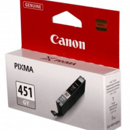 Картридж Canon CLI-451 GY EMB (gray)