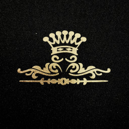 Термопленка WITPAC PREMIUM NOVA-FLEX 1020, золотая, 500 мм (1 п.м.)