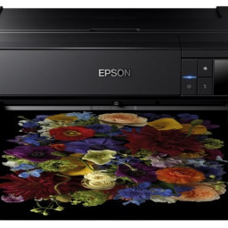 Струйный плоттер Epson SureColor SC-P800 (Roll Unit Promo)