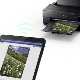 Струйный плоттер Epson SureColor SC-P800 (Roll Unit Promo)