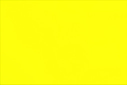 Термопленка WITPAC PREMIUM NOVA-FLEX 1040, неоновая желтая, 500 мм (1 п.м.)