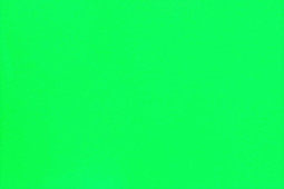 Термопленка WITPAC PREMIUM NOVA-FLEX 1041, неоновая зеленая, 500 мм (1 п.м.)