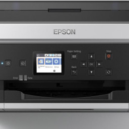 Принтер Epson WorkForce Pro WF-M5299DW