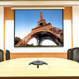 Экран Draper Baronet, 16:9, 65