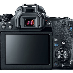 Фотоаппарат Canon EOS 77D Body
