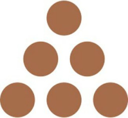 Краска Ricoh Digital Duplicator Ink Type 500 (brown), 6 шт.