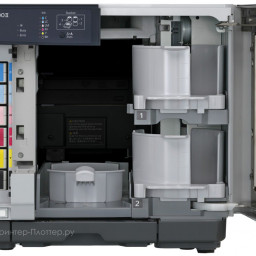 Система публикации CD/DVD Epson Discproducer PP-100II
