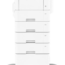 Принтер Ricoh P 800