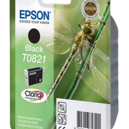 Картридж Epson T0821 (black)