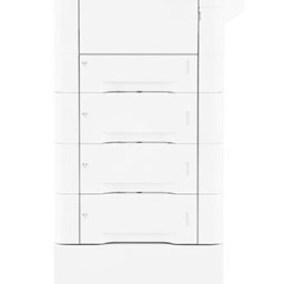 Принтер Ricoh P C600