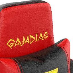 Профессиональное игровое кресло Gamdias Hercules E2 (черно-красный)