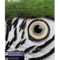 Бумага с покрытием Epson Fine Art Cotton Textured Natural, матовая, A2 (420 x 594 мм), 300 г/кв.м (25 листов)